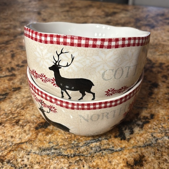 Northwood Cottage soup bowl x2
by 222 FIFTH - Picture 1 of 4